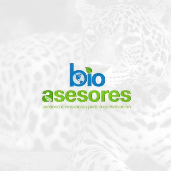 Bio Asesores