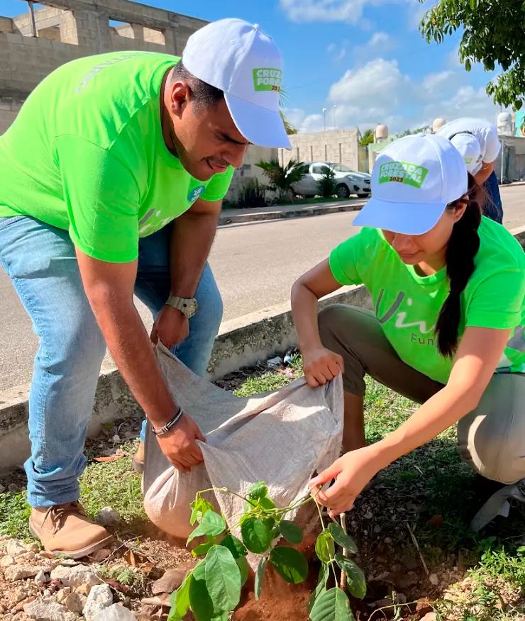 Sostenibilidad Ambiental