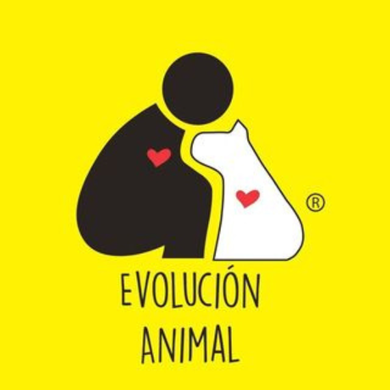 Evolución Animal